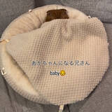 「普段は”兄さん”なのに…ふわふわベッドに入ると“赤ちゃん化”、猫のギャップに21万再生「バブちゃんじゃん笑」」の画像1