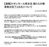 「【令和8年熊本地震】イオンモール熊本の猫カフェ「MOFF」、25頭すべて救出・搬出「無事に保護できました」」の画像1