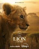 「1頭の子ライオンを1400日間追跡　ジョン・ファヴロー製作総指揮『LION -王国の物語-』D＋で配信」の画像1