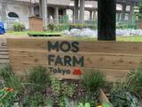 「板橋区×モスバーガーで農園が誕生　西台駅から徒歩5分、野菜を育てること可能に」の画像1