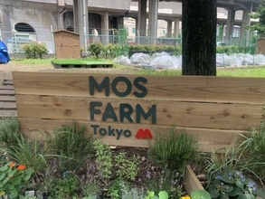 板橋区×モスバーガーで農園が誕生　西台駅から徒歩5分、野菜を育てること可能に