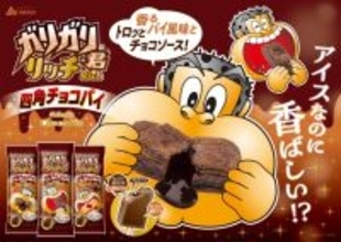 『ガリガリ君リッチ』に“四角チョコパイ”味登場　パイ風味ビスケット＆トロっとチョコを楽しめる