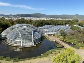 『なんでも鑑定団』鑑定額“1億円”の貴重文書、京都府立植物園できょうから一部を特別展示　鑑定士「世界で8組しか…」【概要】