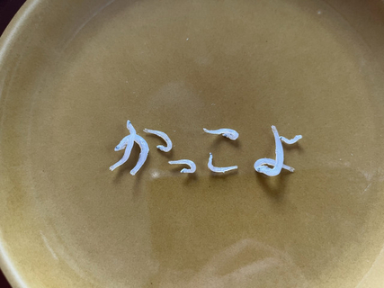 まるで筆で書いたよう…しらすを並べて作った“達筆すぎる文字”　制作に使うのは箸と2枚の皿