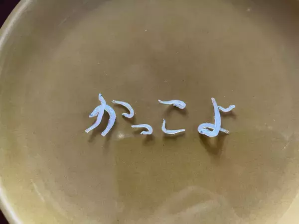 まるで筆で書いたよう…しらすを並べて作った“達筆すぎる文字”　制作に使うのは箸と2枚の皿