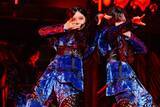 「櫻坂46加入2年目の四期生、単独公演で圧倒　浅井恋乃未「櫻坂46の一員としてふさわしく咲き続けていきたい」【セットリスト・ライブ写真あり】」の画像1