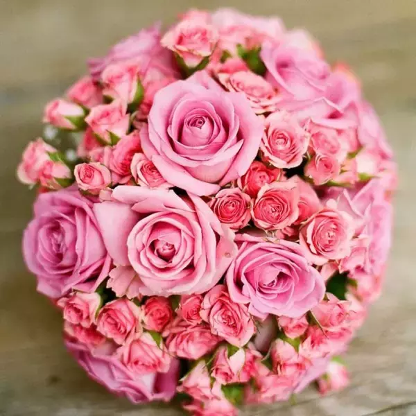 フリーアナウンサー・中村葉月、動物園広報の男性との結婚を発表　2ショットを公開　「仕事を第一に考え別居婚」を選択