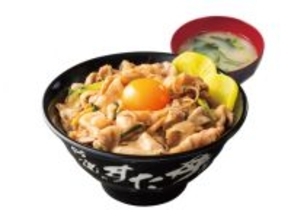 【4・1から】伝説のすた丼屋、グランドメニュー改定・一部値上げ　一方で背徳感＆割安の新丼が登場【一覧・価格】