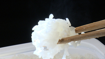 「コメ価格は下がる？」日本最大手コメ卸の社長に直撃　知られざる過去…「生存率30％程度」の大病も