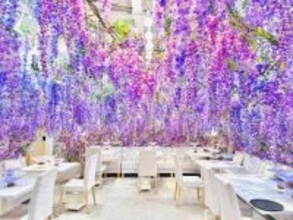 【きょうから】表参道で“藤3000本”の没入体験　幻想空間で味わう限定アフタヌーンティー登場