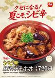 「すき家、「シビ辛麻婆茄子牛丼」発売　牛肉×麻婆茄子の丼が食欲をかき立てる」の画像1
