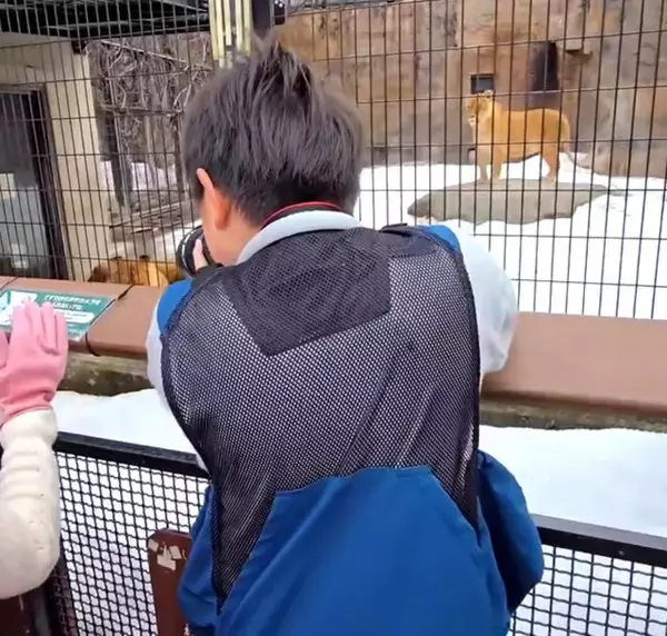小学生が撮影したライオンの迫力がエグい「鳥肌が立ちました！」「師匠とひそかに呼びたい」