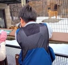 小学生が撮影したライオンの迫力がエグい「鳥肌が立ちました！」「師匠とひそかに呼びたい」