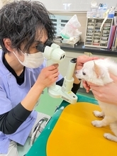 動物病院は儲かってる？ “副業・獣医師”の会社員が明かす「新卒の離職率6割だった」実態、動物と業界のため…動き出した挑戦