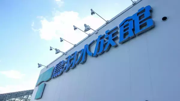 「このようなお知らせで筆が進まず…」鳥羽水族館、31歳フンボルトペンギン「ピーナツ」の永眠を報告