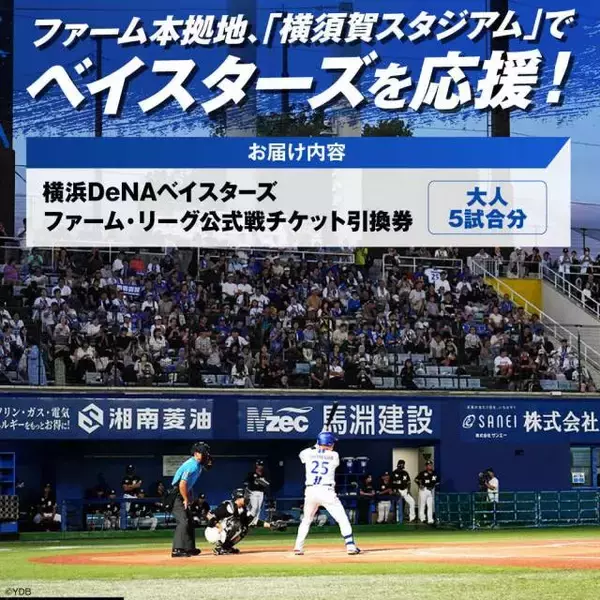横浜DeNAベイスターズが横須賀市ふるさと納税返礼品の提供を開始　“第1弾”はオリジナルパッケージの焼きプリン、ファーム公式戦招待券の2種