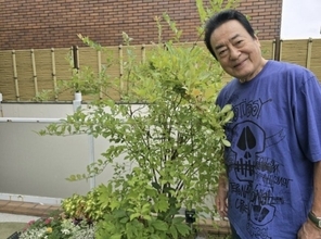 高橋英樹、自宅の庭の“手入れ”が完了「むちゃ広い芝生だわ」「可愛らしいお花ばかり」　草花豊かな広々空間に反響