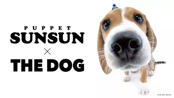 パペットスンスン、「THE DOG」とコラボ実現　犬から顔をのぞかせるスンスンTシャツ登場