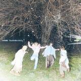「日本デビュー15周年・SHINee、3作目のデジタルアルバム1位　嵐ベストアルバムが2週連続2位【オリコンランキング】」の画像1