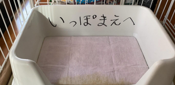 「いっぽまえへ」犬のトイレに貼られた“ひらがな”のお願い　飼い主も驚いたその後の変化