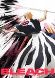 「『BLEACH』黒崎一護、ついに半虚化　自らの内に眠る虚の血を呼び覚ます」の画像1