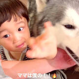 「ママを奪い合う1歳児とハスキー犬の三角関係が尊い「可愛いの大渋滞」「ママさんモテモテですね」」の画像1