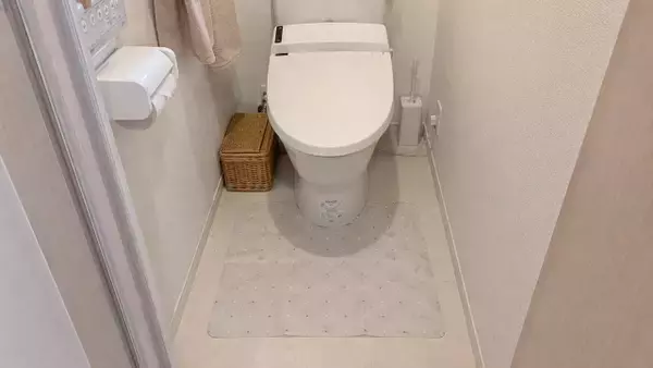 ほかの洗濯物と一緒に洗うのは嫌悪感…”捨てるだけ”のトイレマットが便利すぎた「介護や子育てにも良さそう」