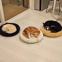 見事に3色3柴...自分と真逆の色のベッドに寝る柴犬トリオ「自分の色を選んだときは”777“レベルの当たり」