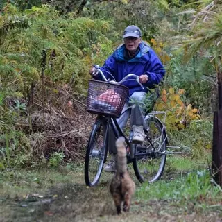 「待ってたよ！」　おじいちゃんを“小走り”でお出迎えする猫にほっこり「尻尾から嬉しさ爆発」「ふたりとも愛おしい存在」