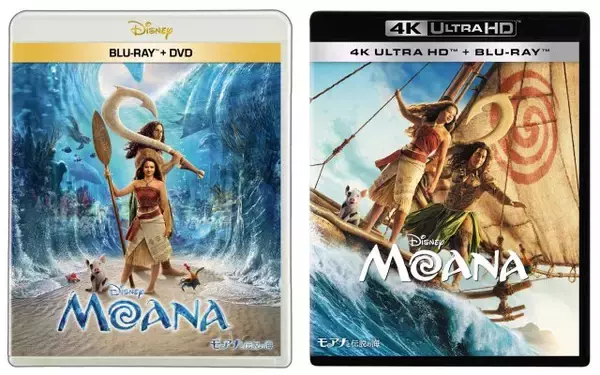 実写版『モアナと伝説の海』8分超の無料プレビュー公開　「どこまでも ～How Far I'll Go～」響く船出、マウイとの出会いも