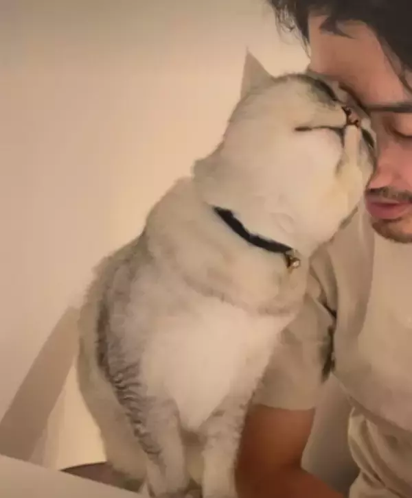 夕飯前に夫がデレデレ？　ご飯も冷める”彼女”の熱烈愛に妻も呆れ…「これは仕方ない」「完全に彼女」