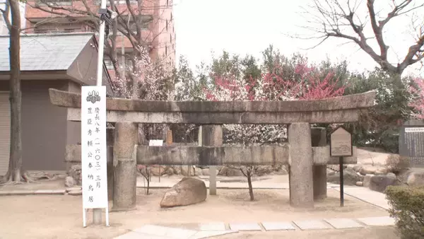 大阪の神社仏閣“謎スポット”　低すぎる鳥居、急勾配の橋、屋根の上にある釣鐘、ビルに挟まれた神社　テレビ大阪『誰も知らんキング』