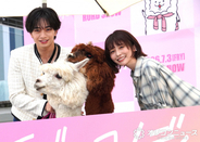 中島健人＆長濱ねる、アルパカにメロメロ　「大きい声怖いか」と気遣う一面も