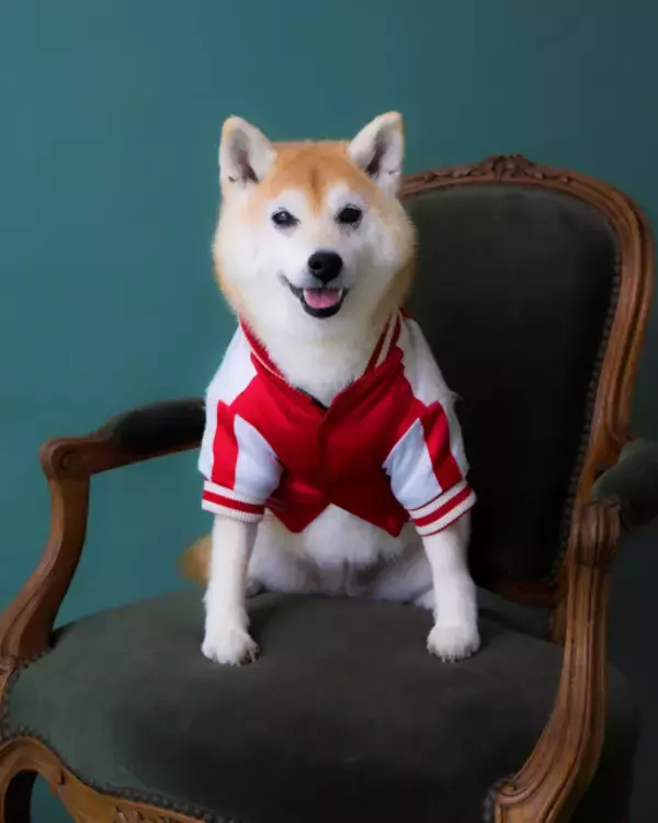 アキナ山名、愛犬「おまめ」との日々を描いたエッセイ刊行決定　妻の宇都宮まきとイベントも