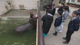 「入園料おとな250円の動物園を訪問…1951年に開園　42歳のカバを飼育　今夜『大阪ほんわかテレビ』」の画像1