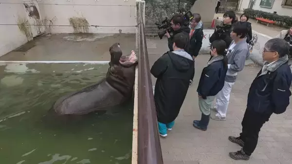 入園料おとな250円の動物園を訪問…1951年に開園　42歳のカバを飼育　今夜『大阪ほんわかテレビ』