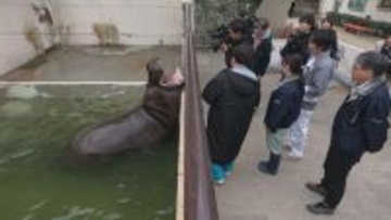 入園料おとな250円の動物園を訪問…1951年に開園　42歳のカバを飼育　今夜『大阪ほんわかテレビ』