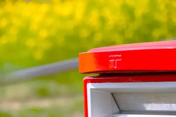 ハサミやカッターが手元にない時…レターパックの“スムーズな開封方法”をゆうパック公式が紹介