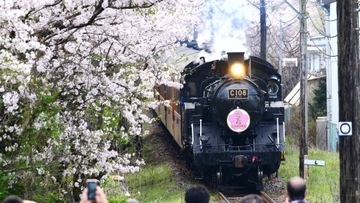 台風被害による半線不通のなか“夢”をどう走らせる？　大井川鐵道が守り続ける「憧れの列車」
