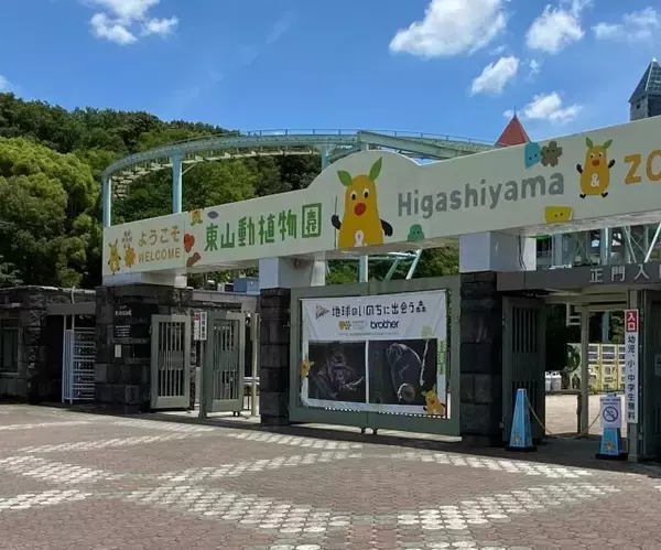 「いかにも名古屋出身のコアラ」東山動植物園の赤ちゃん、名前は「てんむす」に決定　「最高の名前！」