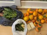 「2歳児と散歩をするともらえる“報酬”？　大量の野菜や果物の山に3.1万いいね「全部に『いる』と返事をしてました」」の画像1