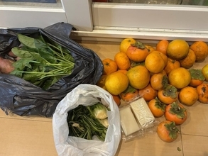 2歳児と散歩をするともらえる“報酬”？　大量の野菜や果物の山に3.1万いいね「全部に『いる』と返事をしてました」