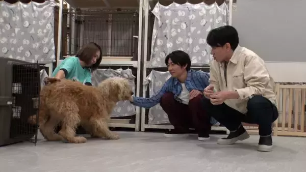 横山裕、相葉雅紀と再び“保護犬トリミング”　親友同士の本音トークも