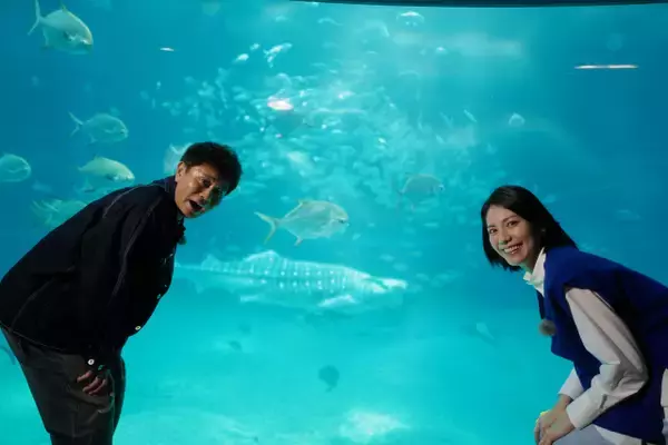 「浜田雅功＆松下奈緒、VIPルームで2ショット　水槽越しのジンベエザメに大興奮「松下さん、もう行きますよ…」」の画像