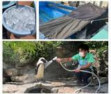 「ペンギンなどの「熱中症対策」サンシャイン水族館が詳細公表　アシカ、ペリカンの具体例も【一覧】」の画像1