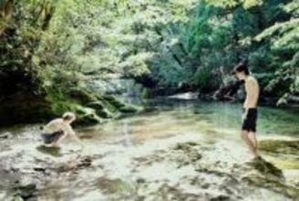 河瀬直美監督の新作『たしかにあった幻』屋久島の新場面写真＆特別予告解禁