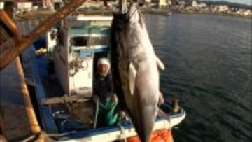巨大マグロと格闘中に絶命した伝説の漁師とは　テレ東が特番を放送『巨大マグロ戦争 追悼編』