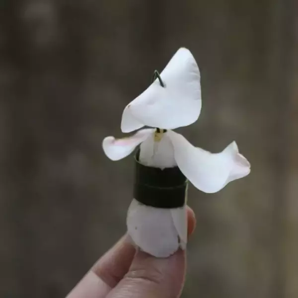 落ちたツバキが“阿波踊り”の踊り手に変身、「花びらが笠のように見えた」「躍動感がある」と驚きの反応