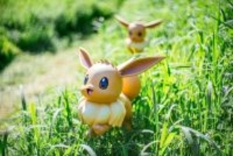 『ポケパーク カントー』入場制限に理解求める！理由説明　一部エリア「ポケモンフォレスト」に問い合わせ多数「避難動線等も考慮して設定」