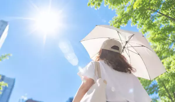 アイスを1時間持ち歩いたらどうなる？ 気温30℃超で検証「アイス買う時必需品」「持ち運び便利」